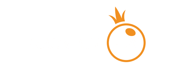 پاکستان نیٹ logo